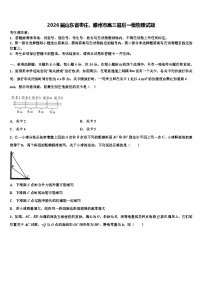 2026届山东省枣庄、滕州市高三最后一模物理试题含解析
