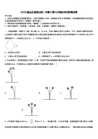2026届山东省微山县二中高三第六次模拟考试物理试卷含解析