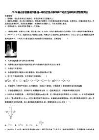 2026届山东省滕州市滕州一中新校重点中学高三适应性调研考试物理试题含解析2