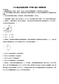 2026届山东省微山县第一中学高三最后一模物理试题含解析