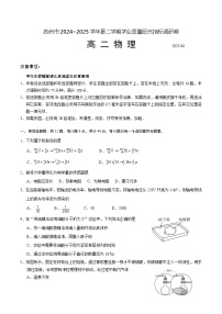 江苏省苏州市2024-2025学年高二下学期学业质量阳光指标调研物理试卷（含答案）