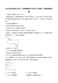 2026届山东临沂市高三下学期普通高中学业水平等级3月模拟物理试题-普通用卷