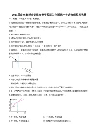 2026届山东临沂市普通高等学校招生全国统一考试物理模拟试题-附答案解析