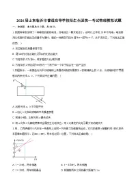 2026届山东临沂市普通高等学校招生全国统一考试物理模拟试题-附答案解析