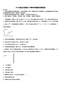 2026届山东省邹城一中高考考前模拟物理试题含解析