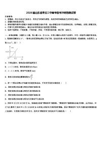 2026届山东省枣庄三中高考临考冲刺物理试卷含解析