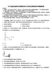 2026届山东省枣庄市薛城区枣庄八中东校区高考临考冲刺物理试卷含解析