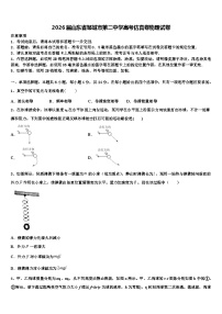 2026届山东省邹城市第二中学高考仿真卷物理试卷含解析