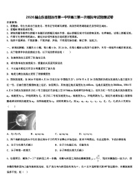 2026届山东省招远市第一中学高三第一次模拟考试物理试卷含解析