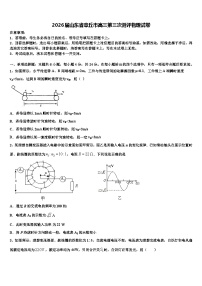 2026届山东省章丘市高三第三次测评物理试卷含解析
