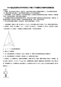 2026届山东省枣庄市市中区枣庄三中高三下学期第五次调研考试物理试题含解析