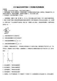 2026届山东实验中学高三3月份模拟考试物理试题含解析