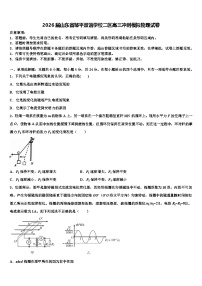 2026届山东省邹平双语学校二区高三冲刺模拟物理试卷含解析