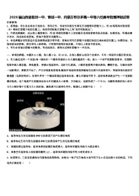 2026届山西省临汾一中、晋城一中、内蒙古鄂尔多斯一中等六校高考物理押题试卷含解析