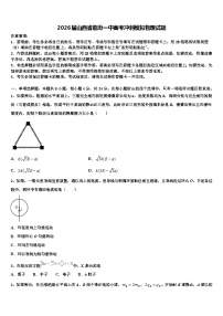 2026届山西省临汾一中高考冲刺模拟物理试题含解析(1)