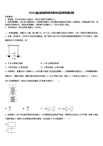 2026届山西省朔州市高考仿真卷物理试卷含解析