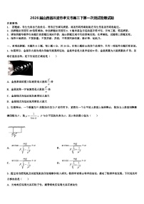 2026届山西省吕梁市孝义市高三下第一次测试物理试题含解析
