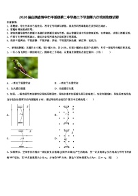 2026届山西省晋中市平遥县第二中学高三下学期第六次检测物理试卷含解析