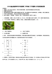 2026届山西省晋中市平遥县第二中学高三下学期第六次检测物理试卷含解析