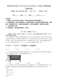 2025-2026学年湖南省武冈市第十中学高二下学期入学摸底检测物理试卷（含解析）