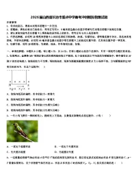 2026届山西省长治市重点中学高考冲刺模拟物理试题含解析
