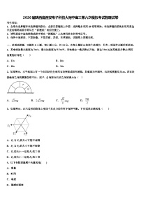 2026届陕西省西安电子科技大附中高三第六次模拟考试物理试卷含解析