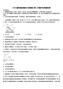 2026届陕西省渭南市大荔县高三第二次模拟考试物理试卷含解析