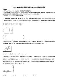 2026届陕西省铜川市重点中学高三冲刺模拟物理试卷含解析