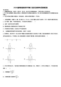2026届陕西省商洛中学高三适应性调研考试物理试题含解析