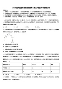 2026届陕西省商洛市洛南县高三第六次模拟考试物理试卷含解析