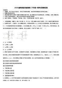 2026届陕西省洛南县高三下学期一模考试物理试题含解析