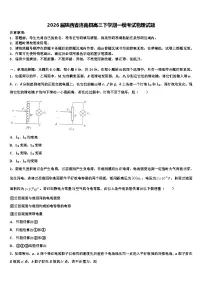 2026届陕西省洛南县高三下学期一模考试物理试题含解析