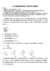 2026届陕西省韩城市高三（最后冲刺）物理试卷含解析
