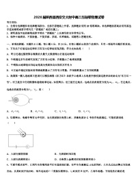 2026届陕西省西安交大附中高三压轴卷物理试卷含解析