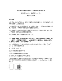 湖北省武汉市2025-2026学年下学期年高三3月月考物理试卷含答案