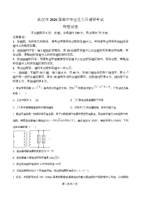 湖北省武汉市2026届高三下学期3月调研考试物理试题（Word版附解析）