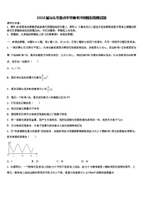 2026届汕头市重点中学高考冲刺模拟物理试题含解析