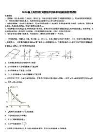 2026届上海嘉定区外国语学校高考考前模拟物理试题含解析