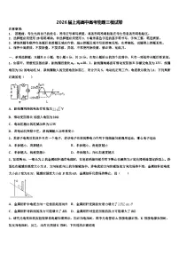 2026届上海高中高考物理三模试卷含解析