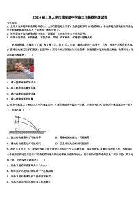 2026届上海大学市北附属中学高三压轴卷物理试卷含解析