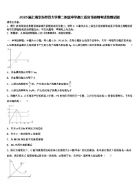 2026届上海华东师范大学第二附属中学高三适应性调研考试物理试题含解析