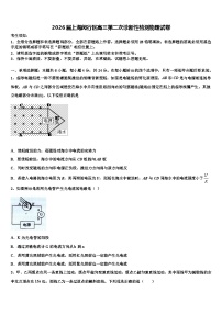 2026届上海闵行区高三第二次诊断性检测物理试卷含解析