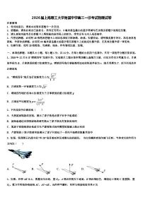 2026届上海理工大学附属中学高三一诊考试物理试卷含解析