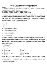 2026届上海金山中学高三第二次诊断性检测物理试卷含解析