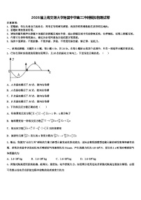 2026届上海交通大学附属中学高三冲刺模拟物理试卷含解析