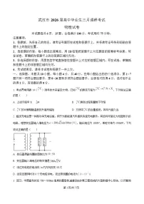 湖北省武汉市2026届高三下学期3月调研考试物理试卷 Word版含解析