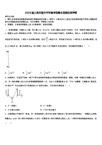 2026届上海市复旦中学高考物理全真模拟密押卷含解析
