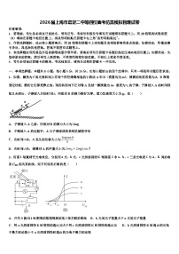 2026届上海市嘉定二中等四校高考仿真模拟物理试卷含解析