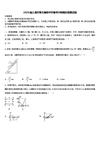 2026届上海市晋元高级中学高考冲刺模拟物理试题含解析