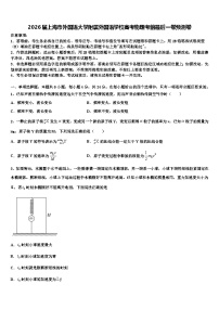 2026届上海市外国语大学附属外国语学校高考物理考前最后一卷预测卷含解析